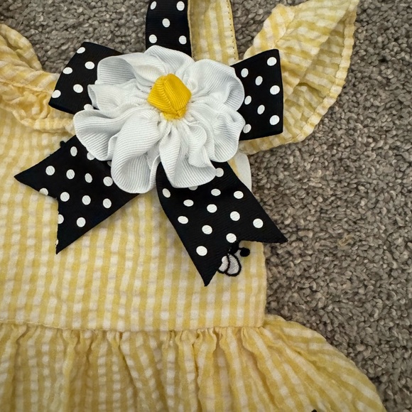 Rare Editions Bumble Bee Seersucker Dress vintage look 12 mo - Picture 2 of 8